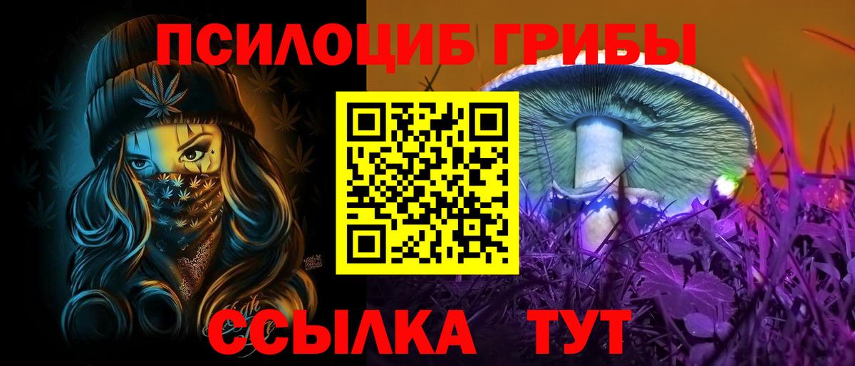 Галлюциногенные грибы мицелий  закладки  Шелехов  Вход с VPN 